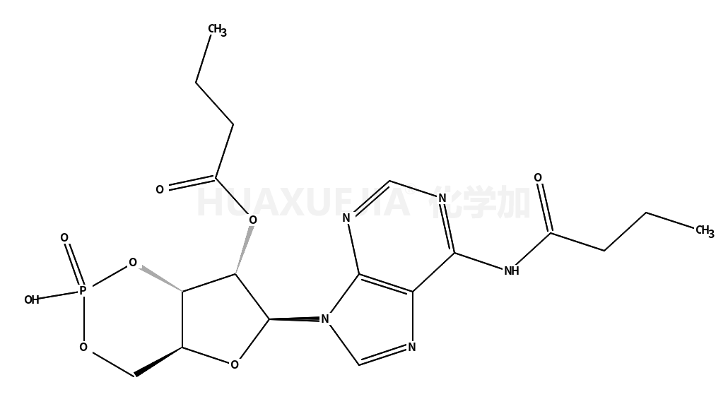 二丁酰环磷腺苷