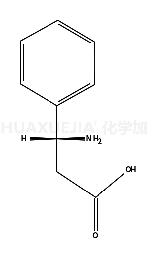 DL-3-氨基-3-苯基丙酸