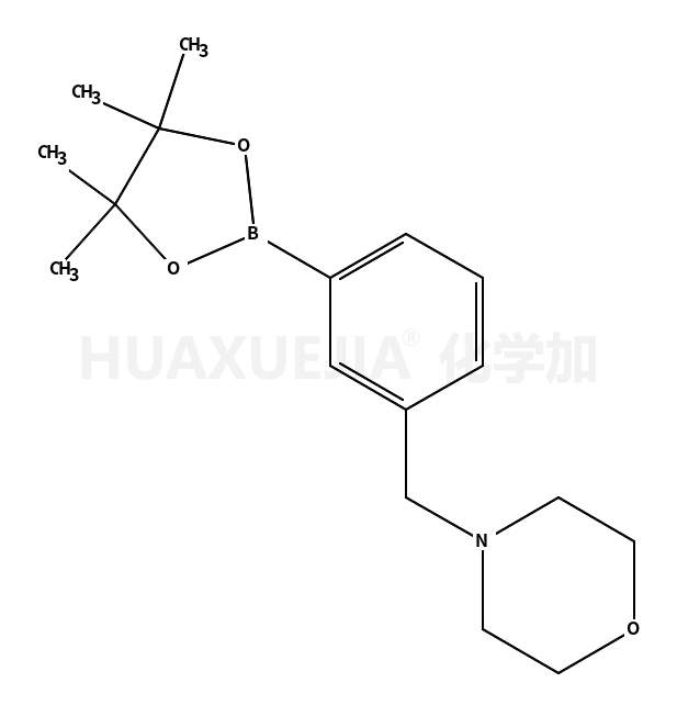 3-(4-吗啉甲基)苯硼酸频哪酯