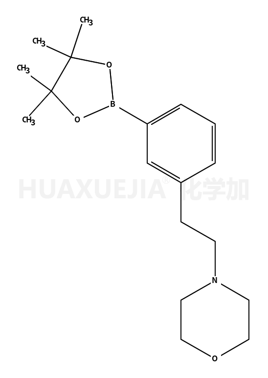 4-(3-(4,4,5,5-四甲基-1,3,2-二噁硼烷-2-基)苯乙基)吗啉