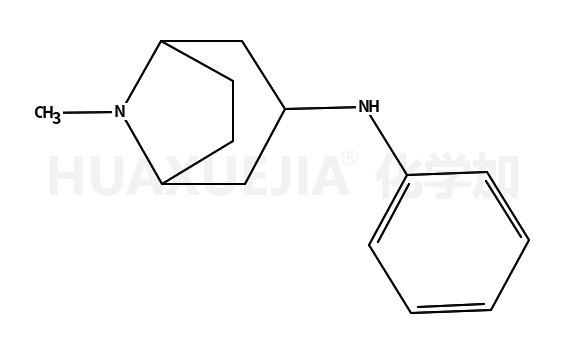 内-N-苯基-3-氨基托烷