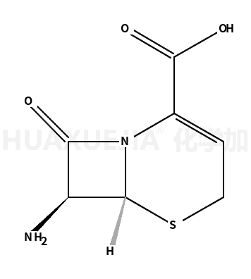 7-氨基-3-头孢环-4-羧酸
