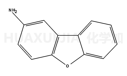 2-二苯并呋喃胺