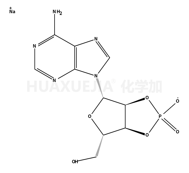 腺苷2′:3′-循环磷酸钠盐