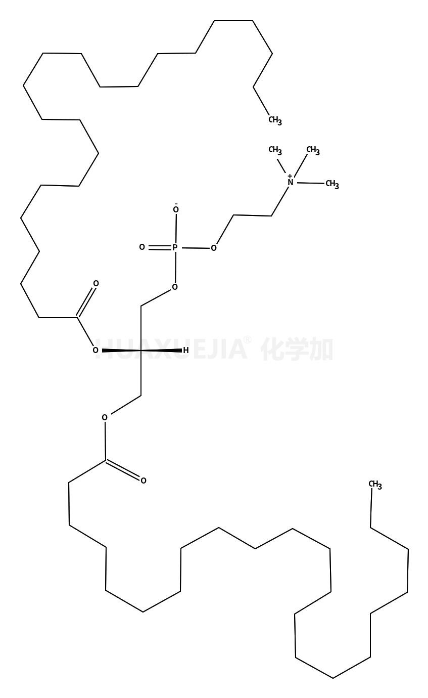 1,2-双二十二碳酰基-Sn-甘油-3-磷酰胆碱