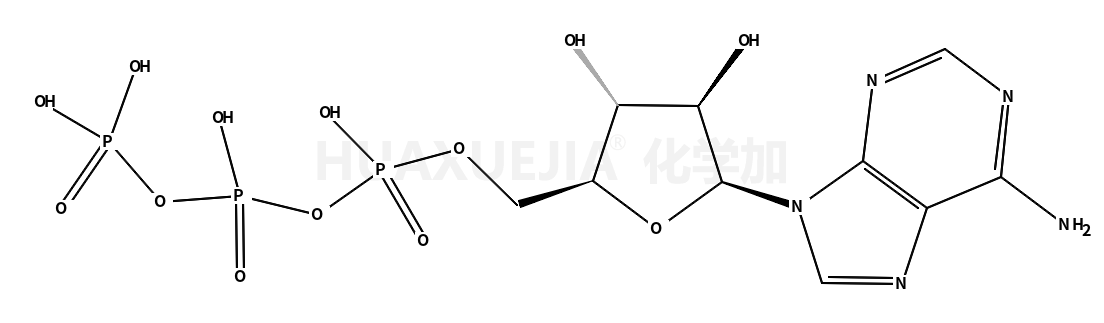 阿拉伯腺苷5'-三磷酸（ara-ATP）（水溶液）