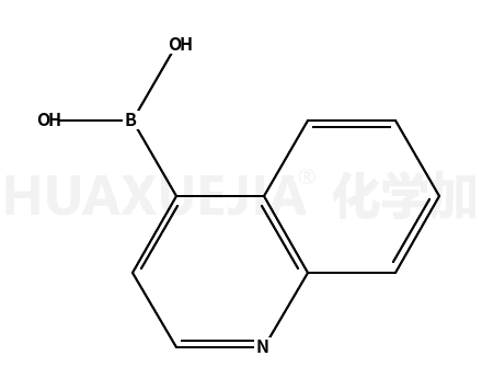 4-喹啉硼酸