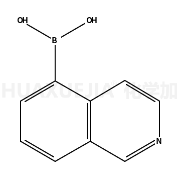 5-异喹啉硼酸