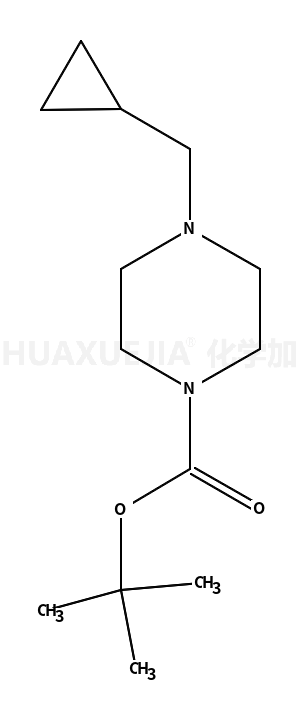 N-boc-4-(环丙基甲基)哌嗪