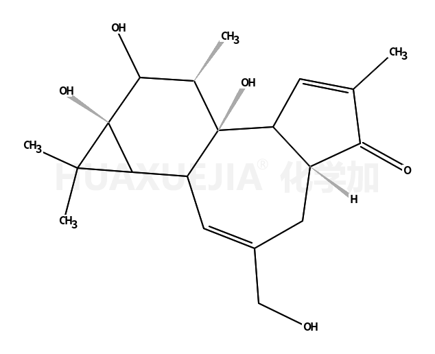 4-Deoxy-4alpha-phorbol