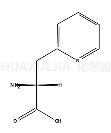 3-(2-吡啶基)-L-丙氨酸