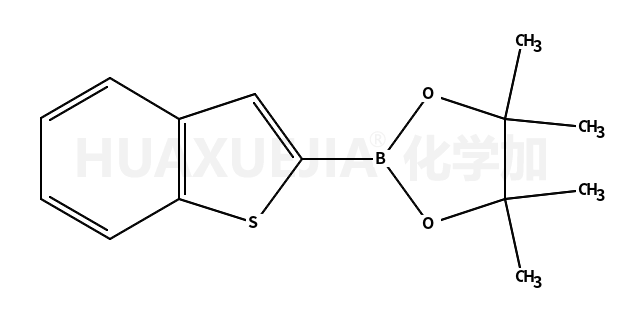 2-(4,4,5,5-四甲基-1,3,2-二氧硼烷)-苯并[b]噻吩