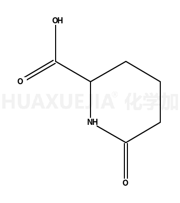 6-氧代哌啶-2-甲酸
