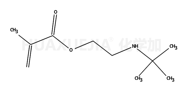 2-(叔丁基氨基)甲基丙烯酸乙酯