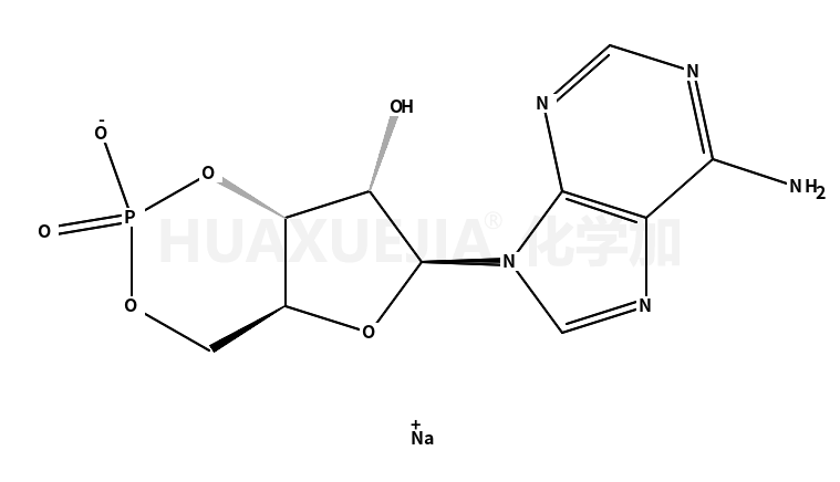 腺苷-3’,5’-環(huán)單磷酸 鈉鹽 一水合物