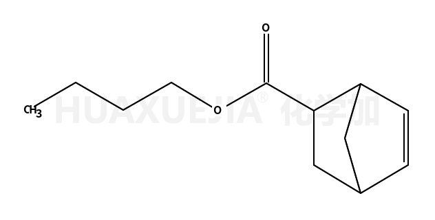 5-降冰片烯-2-羧酸丁酯