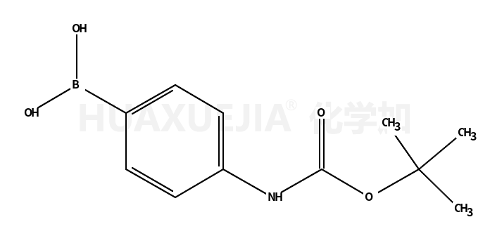 4-(N-BOC-氨基)苯硼酸