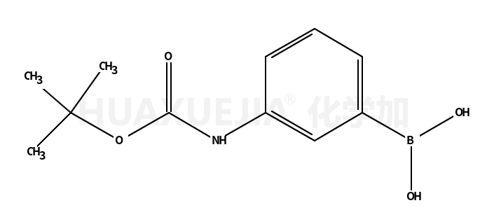 3-(N-Boc-Amino)phenylboronic acid