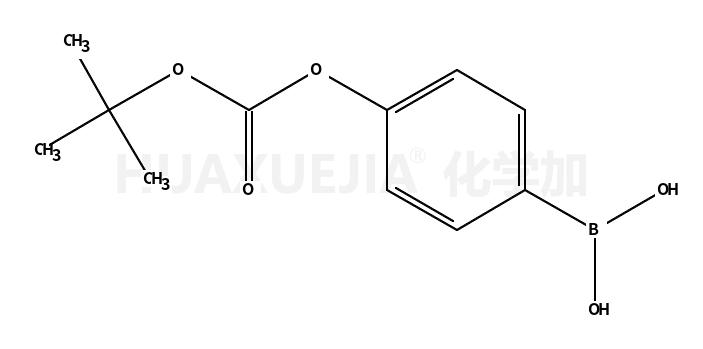4-(叔丁氧基羰氧基)苯硼酸