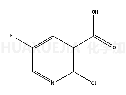 2-Chloro-5-Fluoronicotinic Acid