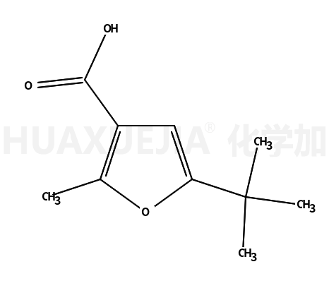 5-叔-丁基-2-甲基呋喃-3-羧酸