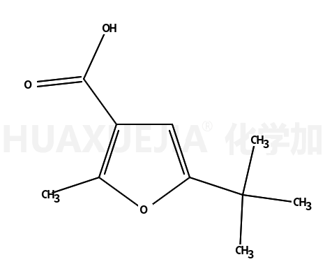 5-叔丁基-2-甲基呋喃-3-羧酸