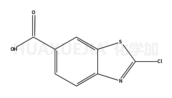 2-氯-6-苯并噻唑羧酸