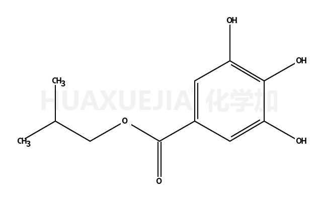 没食子酸异丁酯