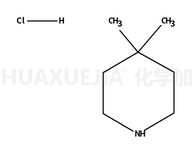 4,4-二甲基哌啶盐酸盐