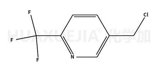 5-氯甲基-2-三氟甲基吡啶
