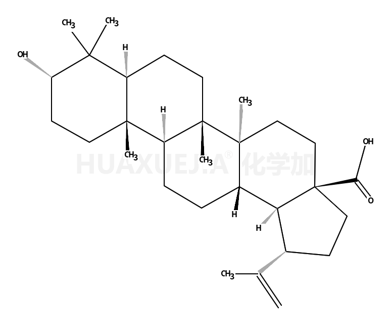 表白桦脂酸