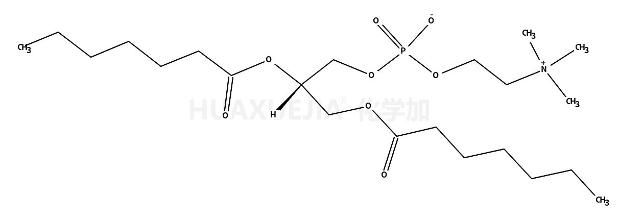 1,2-二庚酰-Sn-甘油-3-磷酰胆碱