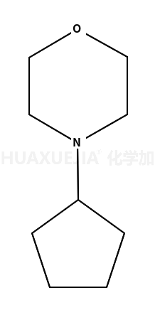 4-环戊基吗啉