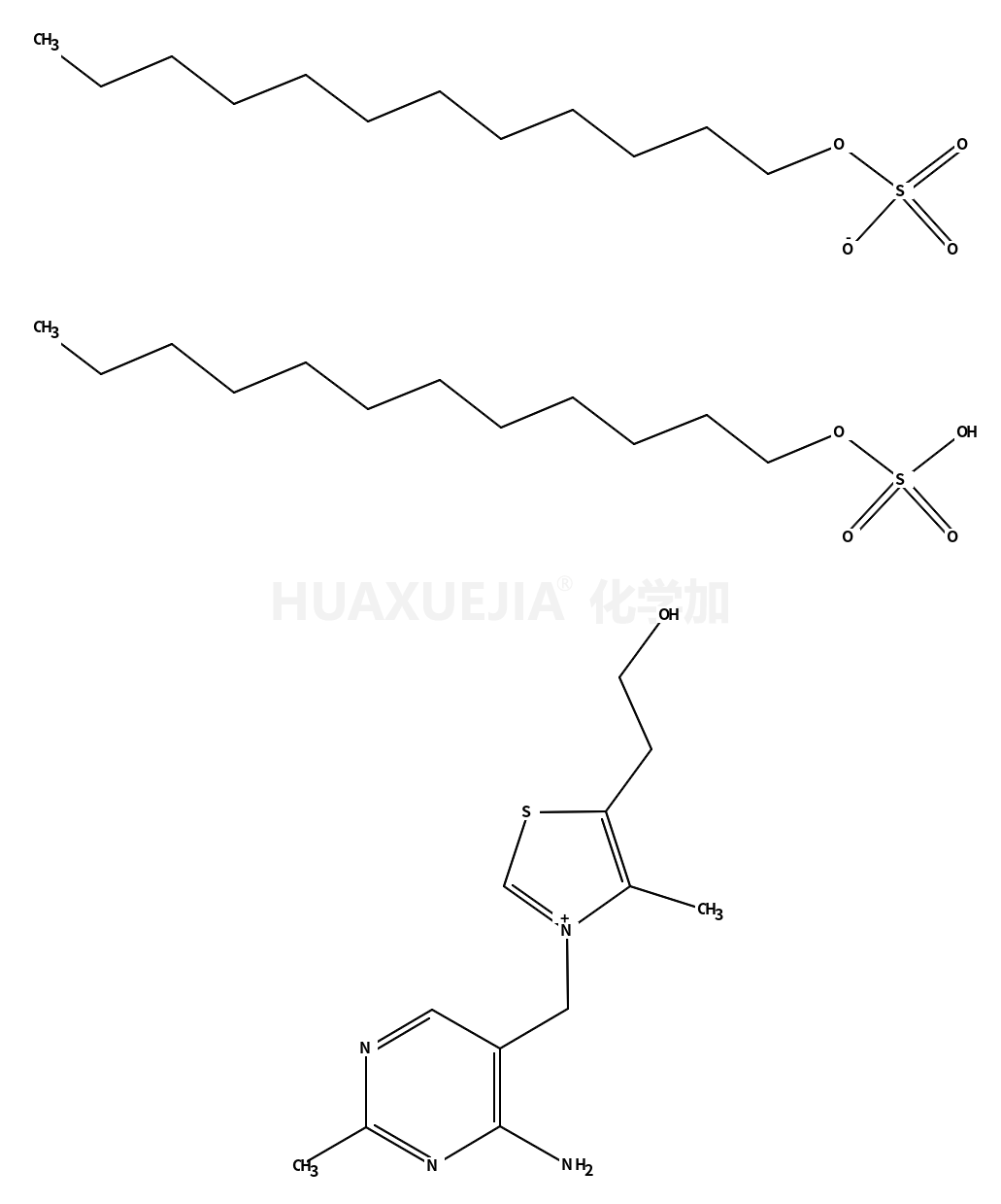 硫胺素二月桂基硫酸盐