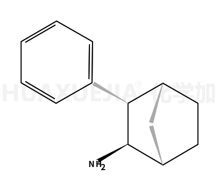 3-苯基降莰烷-2-胺