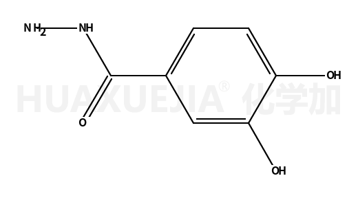 3,4-二羟基苯酰肼