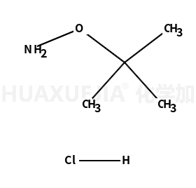 O-叔丁基羟胺盐酸盐