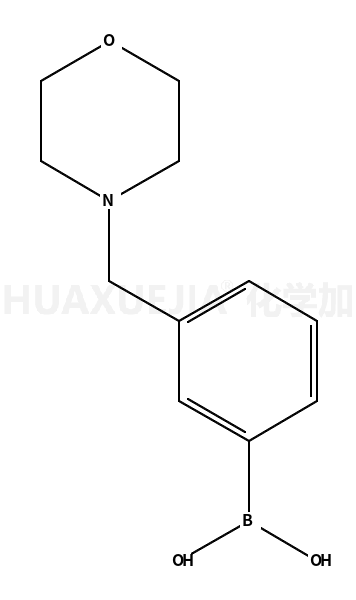 3-吗啉甲基苯硼酸