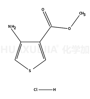 3-氨基噻吩-4-羧酸甲酯盐酸盐