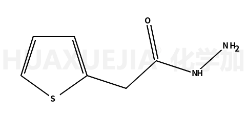 2-噻吩-2-乙酰肼