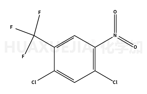 2,4-二氯-5-硝基三氟甲基苯