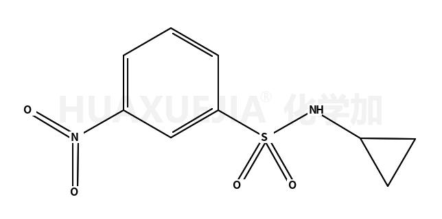 N-环丙基-3-硝基苯磺酰胺