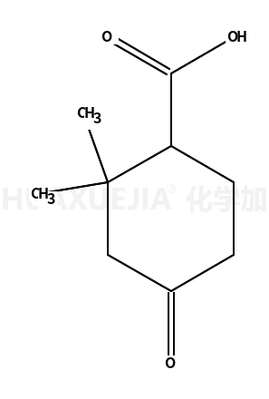 2,2-二甲基-4-羟基环己酸