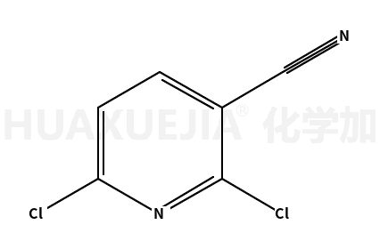 2,6-二氯吡啶-3-甲腈