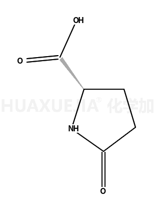 D-焦谷氨酸