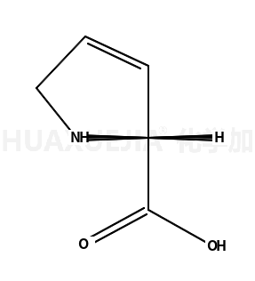 3,4-脱氢-L-脯氨酸