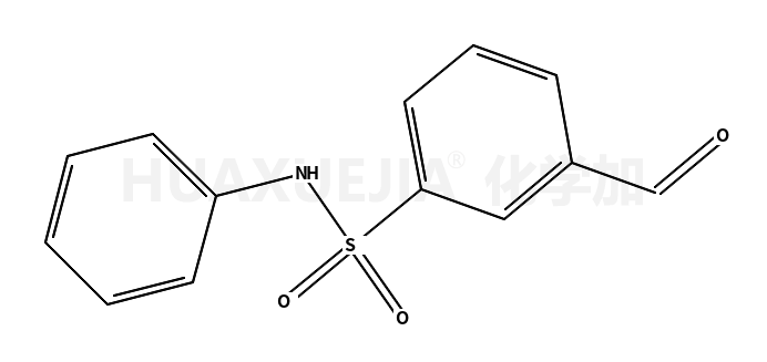 N-苯基-3-醛基苯磺酰胺