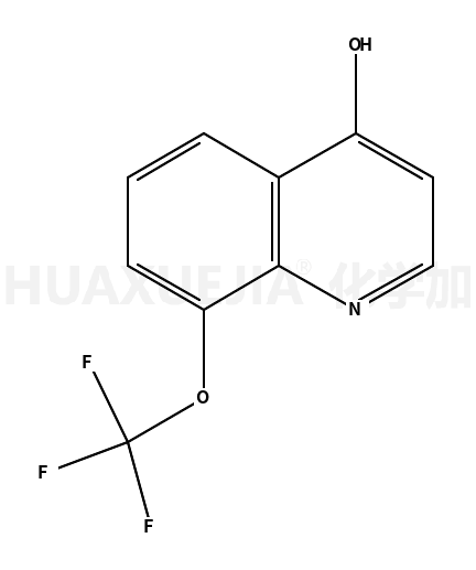 4-羟基-8-(三氟甲氧基)喹啉