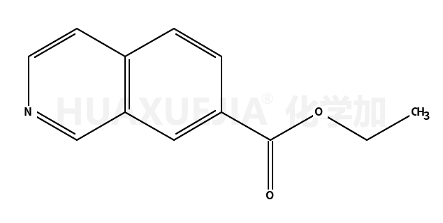 7-异喹啉甲酸乙酯