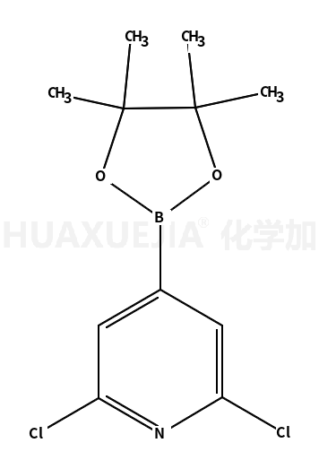 2,6-二氯吡啶-4-硼酸频哪醇酯